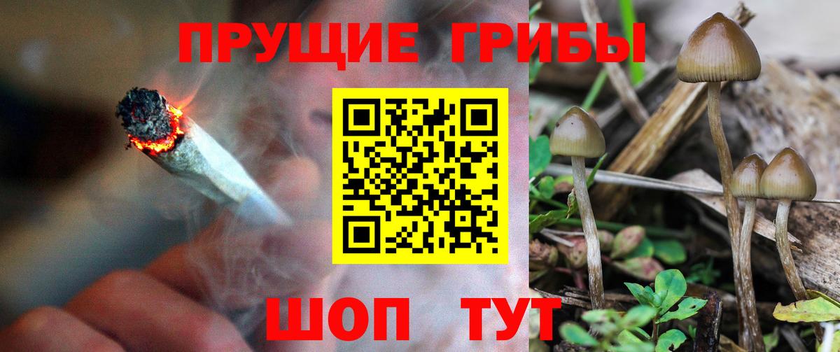 Краснокаменск  Галлюциногенные грибы GOLDEN TEACHER  Вход с VPN 